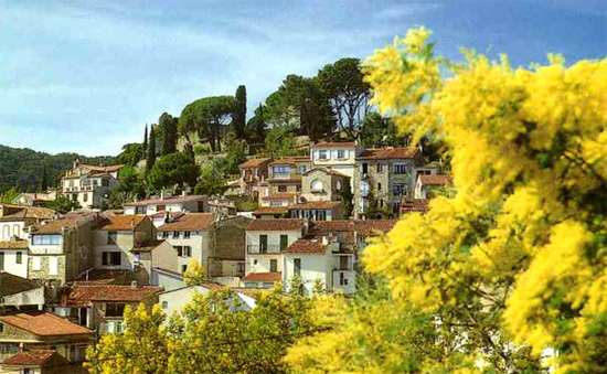 Bormes-les-Mimosas_Village-fleuri